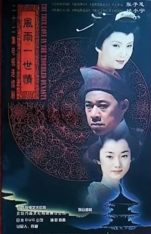 风雨一世情海报