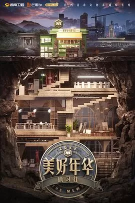 美好年华互联社海报