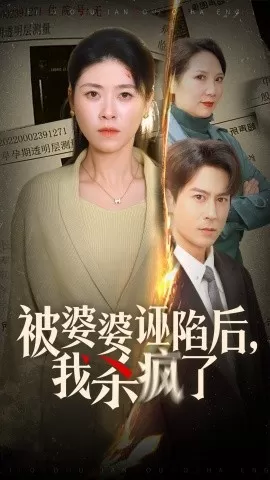 被婆婆诬陷后我杀疯了海报