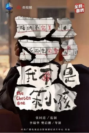 我不是笨小孩海报