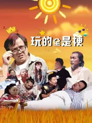 玩的全是梗海报