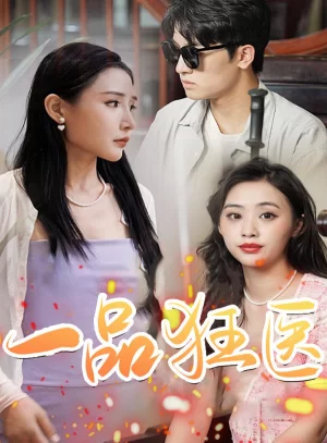 一品狂医海报