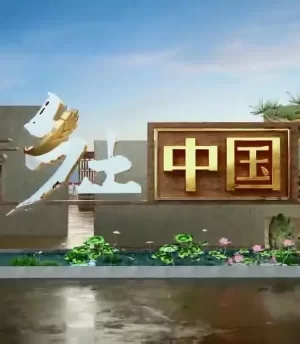乡土中国2023海报