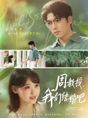 周教授,我们结婚吧海报