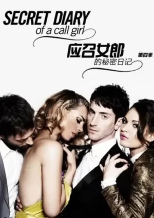 应召女郎的秘密日记第四季海报