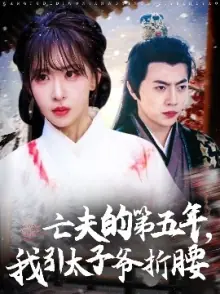 亡夫的第五年我引太子爷折腰海报