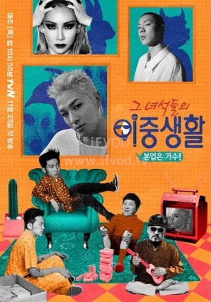 那些家伙们的双重生活海报