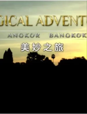 美妙之旅海报