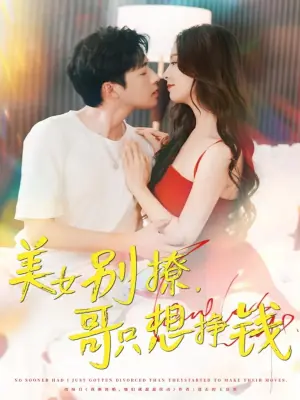 美女别撩哥只想挣钱海报