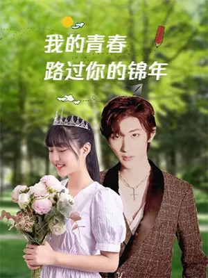 我的青春路过你的锦年海报