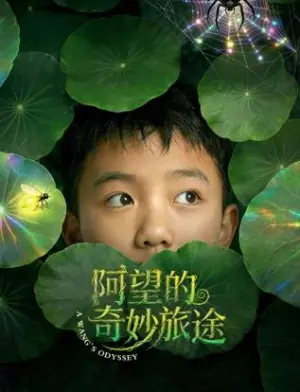 阿望的奇妙旅途海报