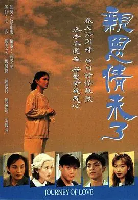 亲恩情未了(粤语)海报