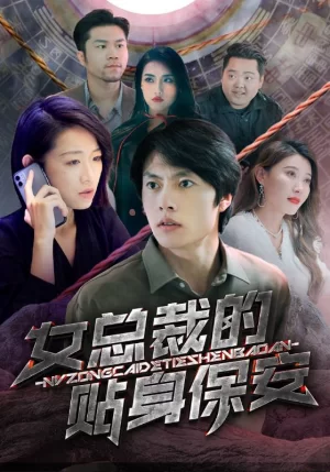 女总裁的贴身保安海报