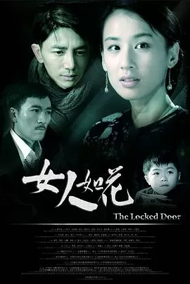 女人如花[电影解说]海报