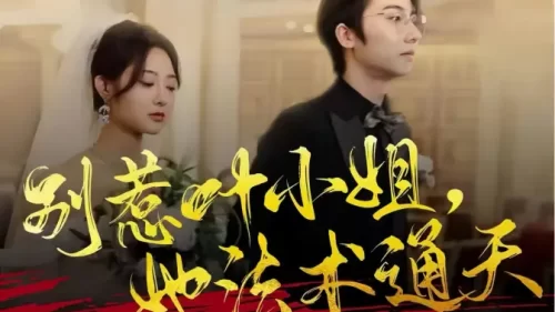 别惹叶小姐,她法术通天海报