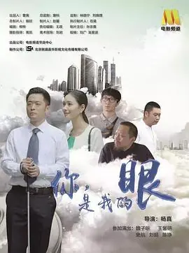 你,是我的眼海报