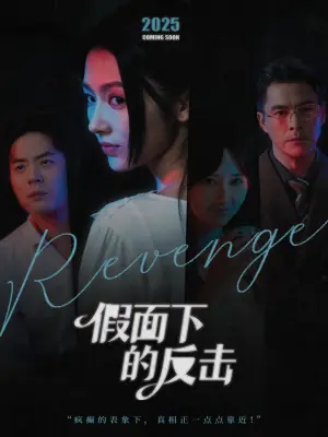 假面下的反击海报