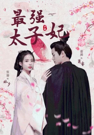 最强太子妃海报