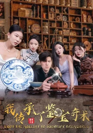 我传承了鉴宝奇术海报