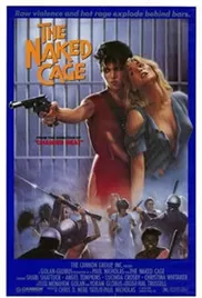 拍档俏冤家海报