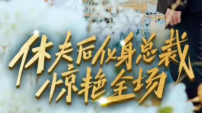 休夫后,化身总裁惊艳全场海报