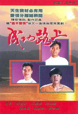 成功路上(国语)海报