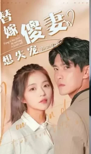 替嫁傻妻想失宠海报