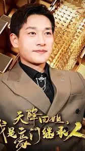 天降四姐,我是豪门继承人90海报