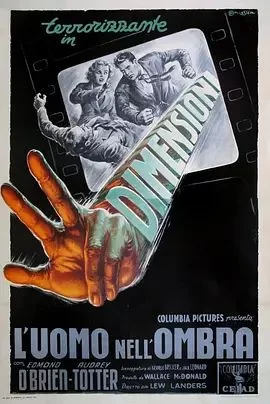 黑暗中的男人海报