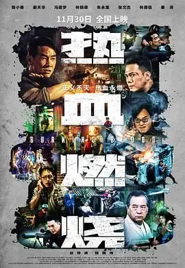 热血燃烧(国语)海报