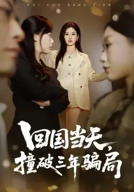 回国当天,撞破三年骗局海报