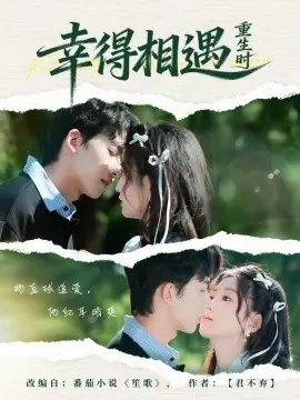 幸得相遇重生时海报