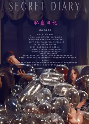小姐秘密日记海报