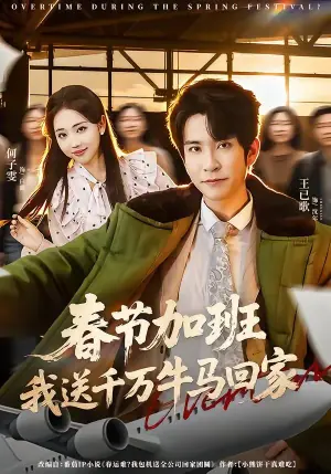 春节加班,我送千万牛马回家海报