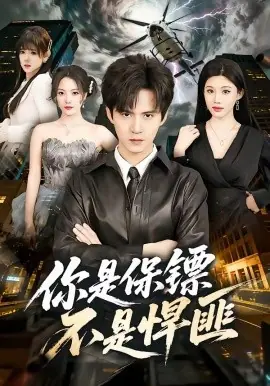 你是保镖不是悍匪海报