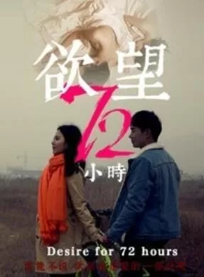 欲望72小时海报