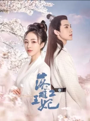 落难王妃2海报