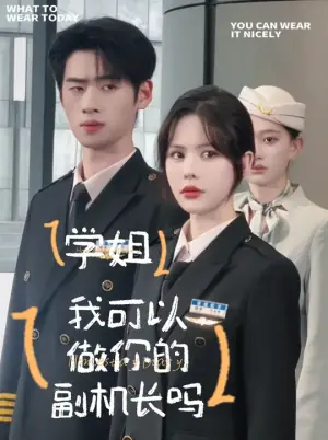 学姐我可以做你的副机长吗海报