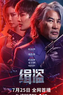 缉盗[电影解说]海报