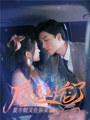 顾总别宠了,夏小姐又在装柔弱了海报
