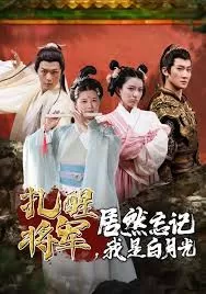 扎醒将军,居然忘记我是白月光海报