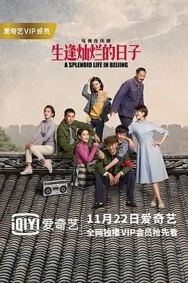 生逢灿烂的日子海报