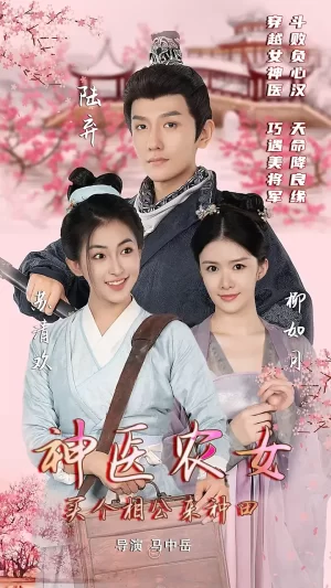 神医农女:买个相公来种田海报