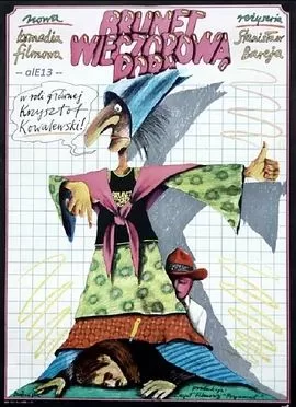 褐发女人会来电海报