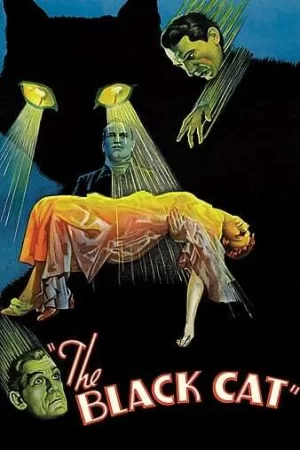 黑猫1934海报