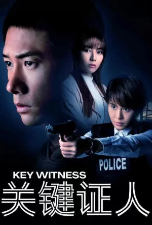 关键证人海报
