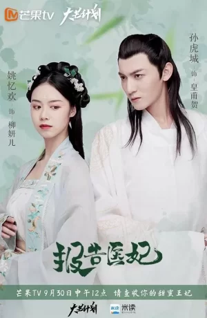 报告医妃海报