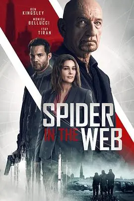 网中蜘蛛SpiderInTheWeb海报