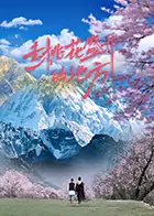 去挑花盛开的地方海报
