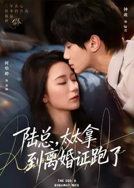 陆总,太太拿到离婚证跑了海报